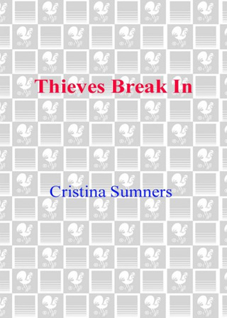 Thieves Break In