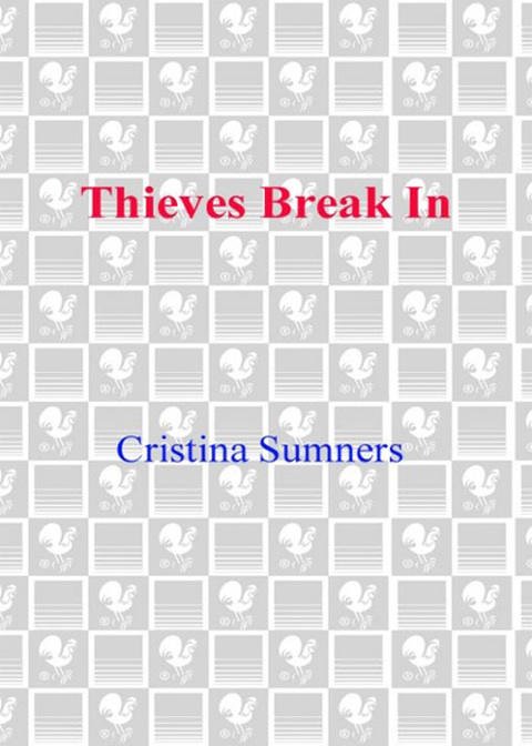 Cover image for book Thieves Break In