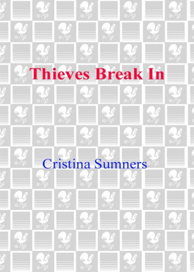 Thieves Break In