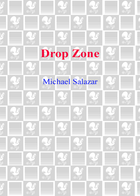 Cover image for book Drop Zone