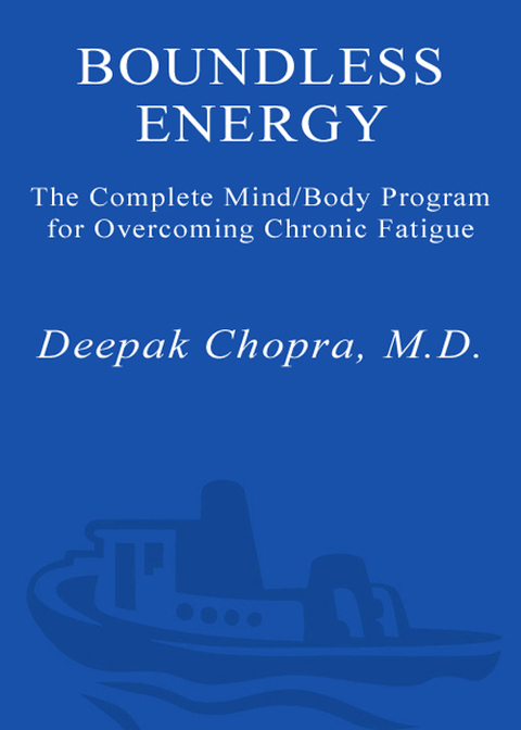 Cover image for book Boundless Energy