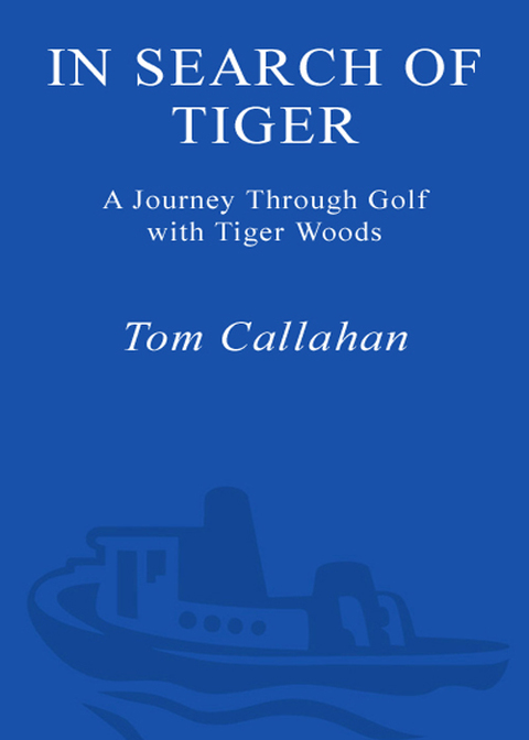 Cover image for book In Search of Tiger