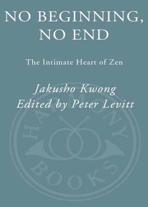 Cover image for book No Beginning, No End