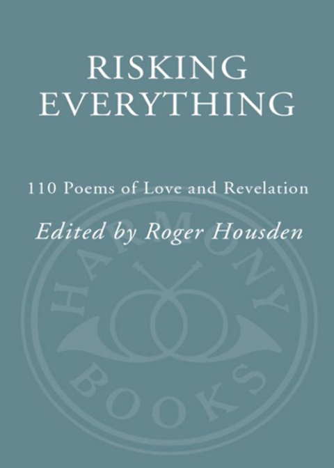 Cover image for book Risking Everything