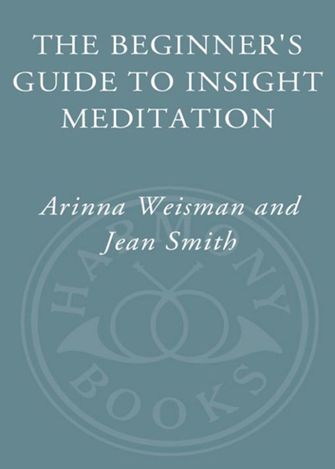 Cover image for book The Beginner's Guide to Insight Meditation