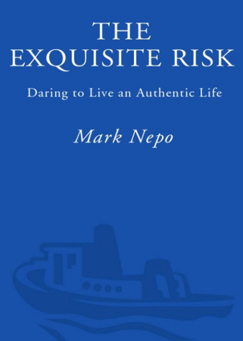 Cover image for book The Exquisite Risk