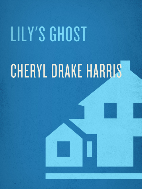 Cover image for book Lily's Ghost