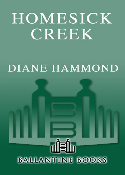 Cover image for book Homesick Creek