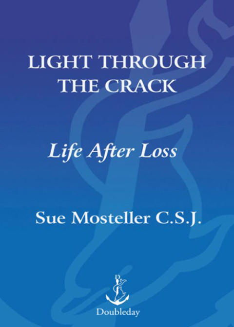 Cover image for book Light Through the Crack