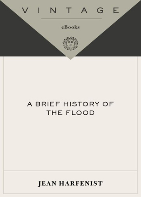 Cover image for book A Brief History of the Flood