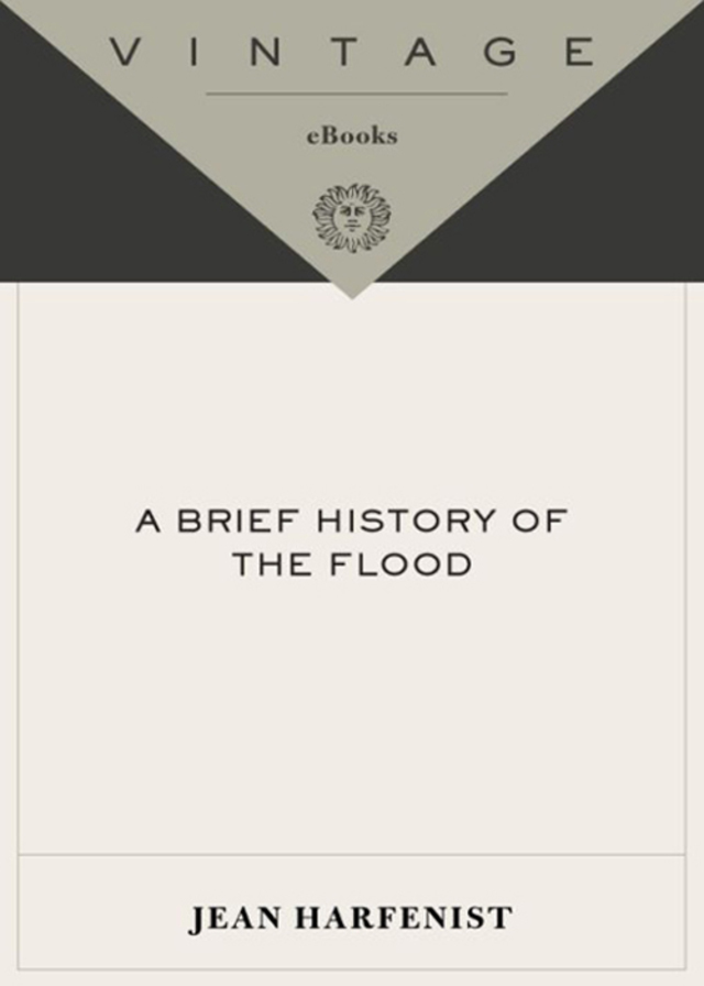 A Brief History of the Flood