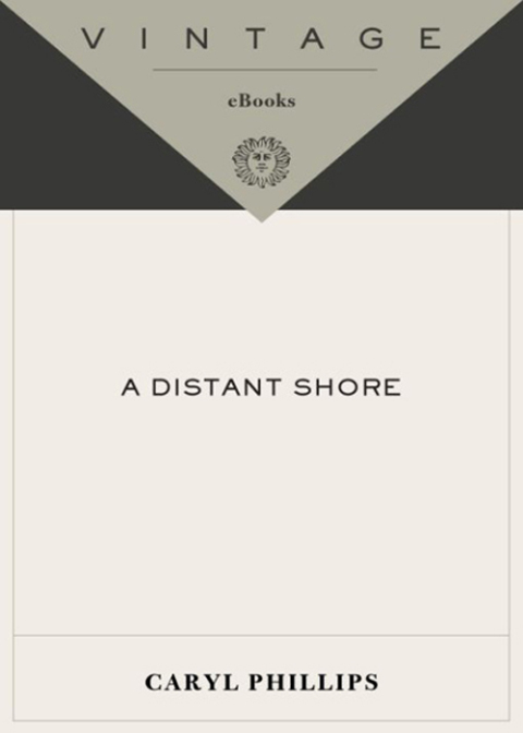 Cover image for book A Distant Shore