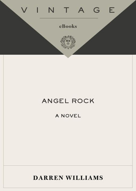 Cover image for book Angel Rock