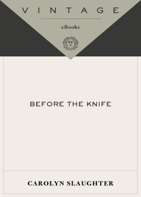 Cover image for book Before the Knife