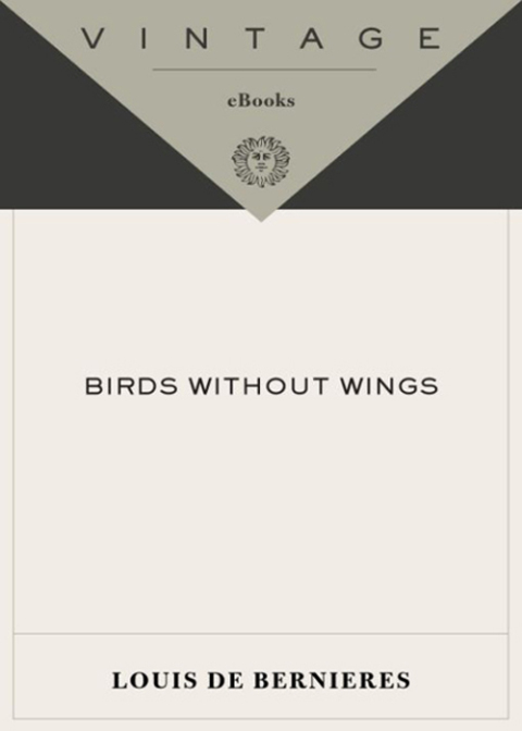 Cover image for book Birds Without Wings