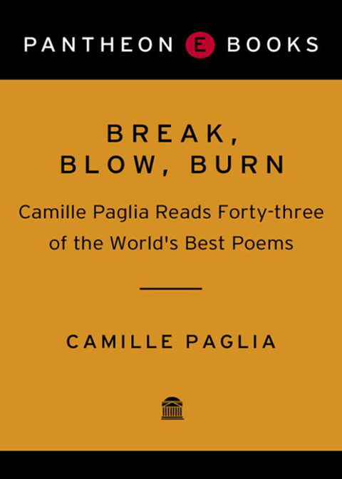 Cover image for book Break, Blow, Burn