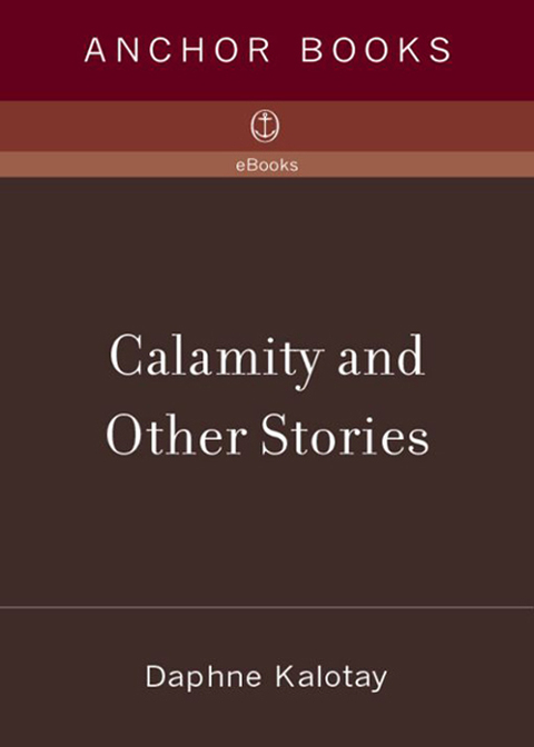 Cover image for book Calamity and Other Stories