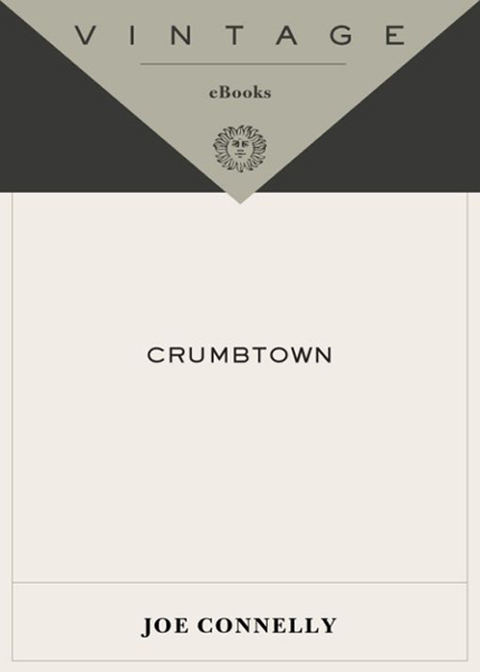 Cover image for book Crumbtown