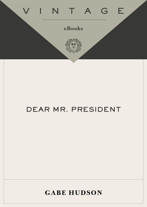 Cover image for book Dear Mr. President