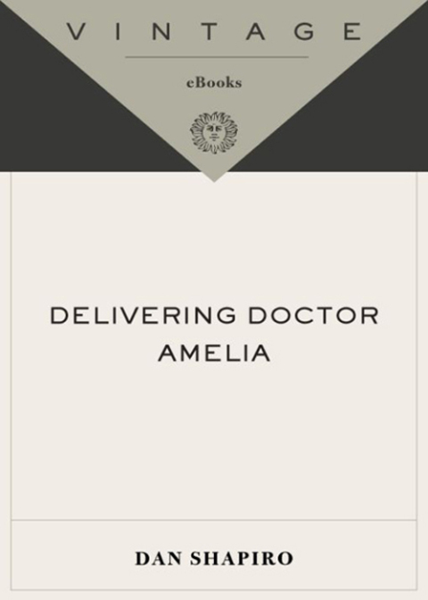 Cover image for book Delivering Doctor Amelia