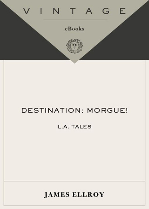 Cover image for book Destination: Morgue!