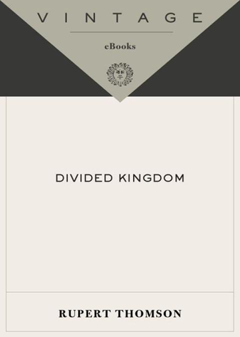Cover image for book Divided Kingdom