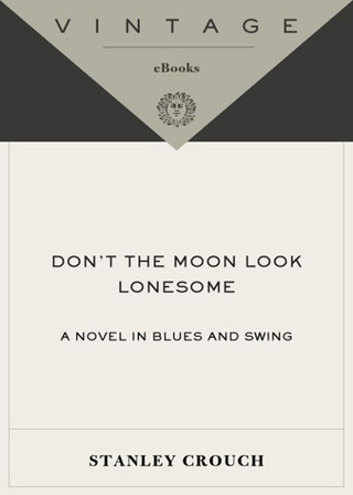 Don't the Moon Look Lonesome