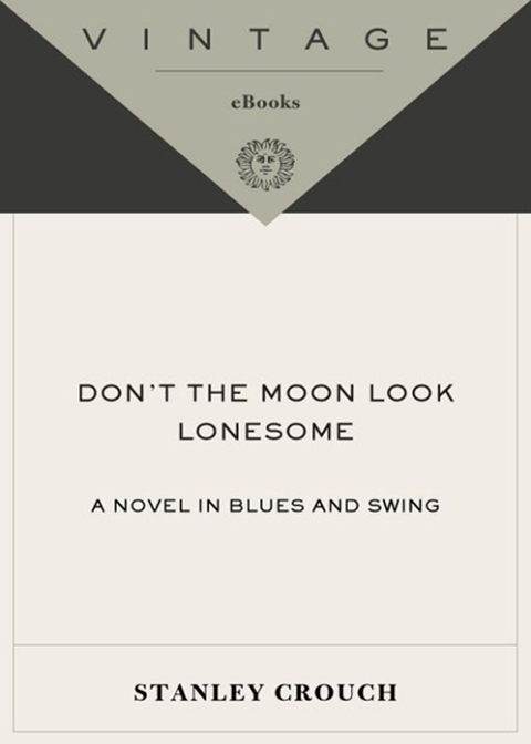 Cover image for book Don't the Moon Look Lonesome