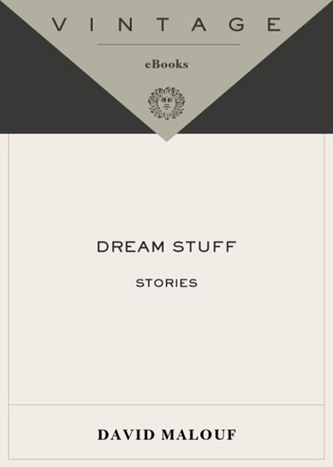Cover image for book Dream Stuff