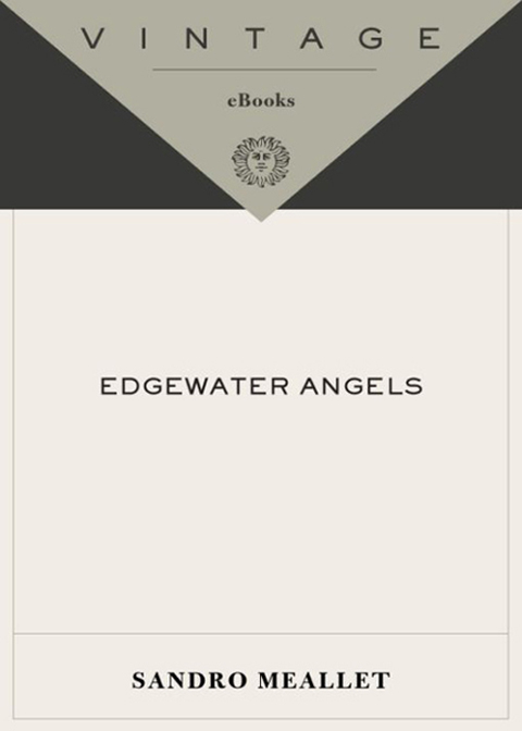 Cover image for book Edgewater Angels