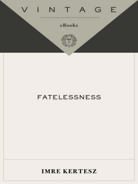 Cover image for book Fatelessness