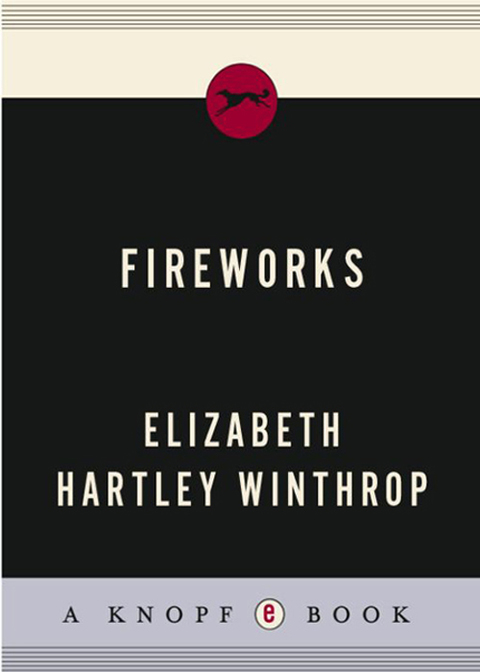 Cover image for book Fireworks