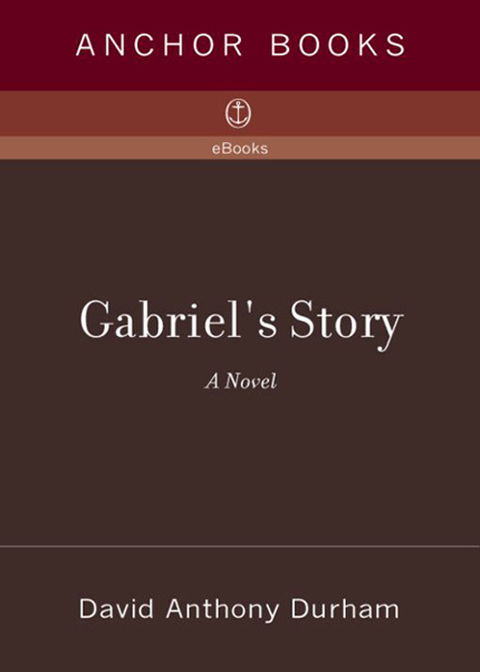 Cover image for book Gabriel's Story