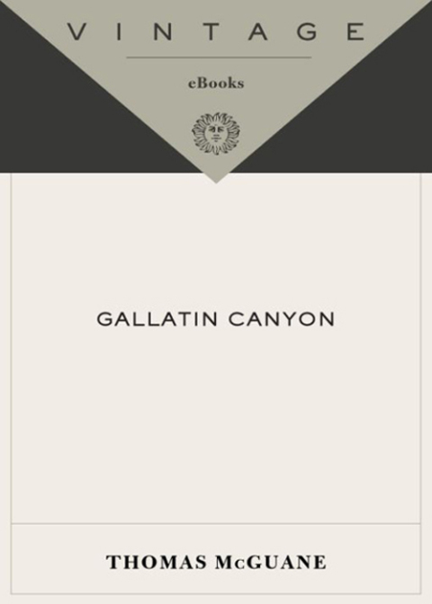 Cover image for book Gallatin Canyon