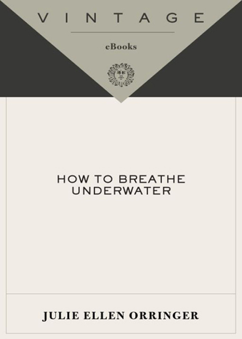 Cover image for book How to Breathe Underwater