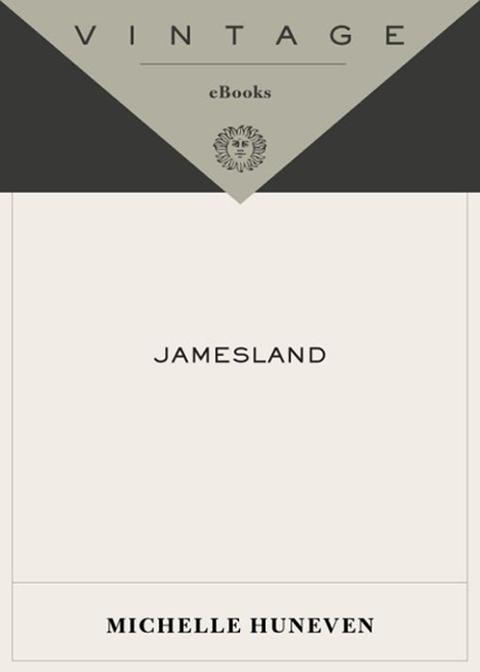 Cover image for book Jamesland