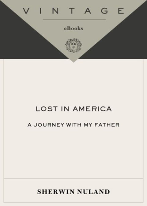 Cover image for book Lost in America