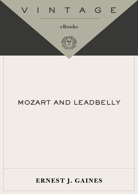 Cover image for book Mozart and Leadbelly