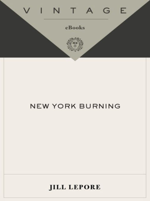 Cover image for book New York Burning