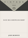 Nice Big American Baby - Judy Budnitz