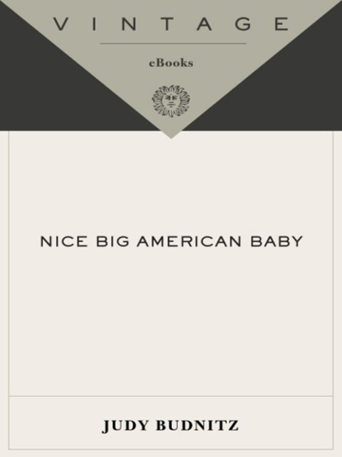 Cover image for book Nice Big American Baby