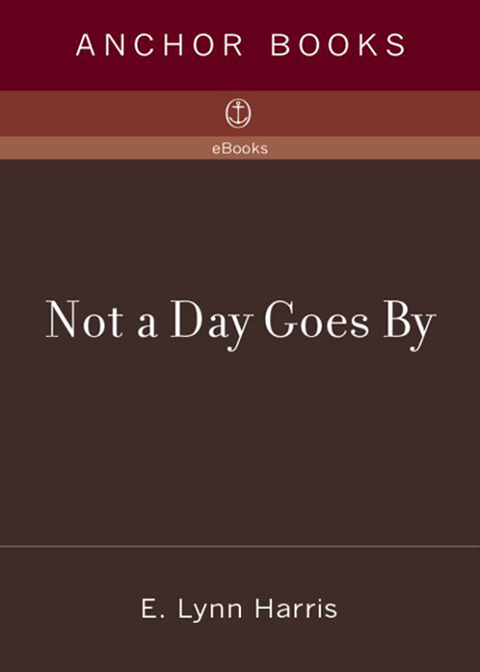Cover image for book Not a Day Goes By
