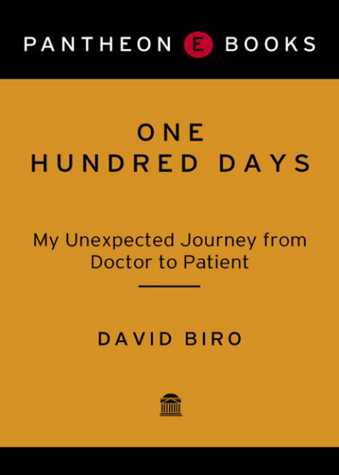 Cover image for book One Hundred Days