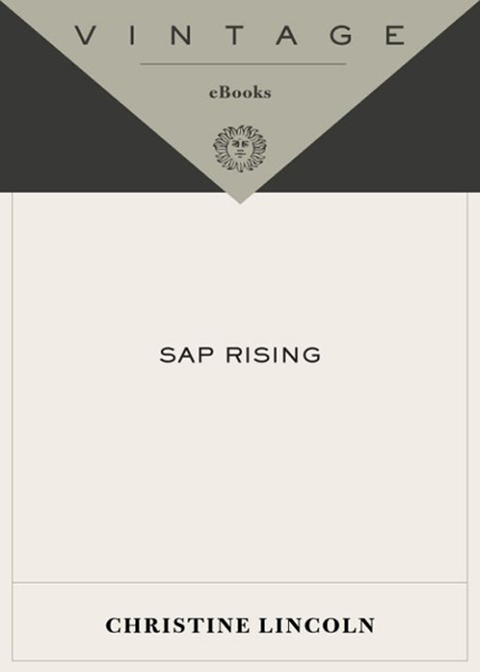Cover image for book Sap Rising