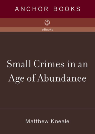 Small Crimes in an Age of Abundance