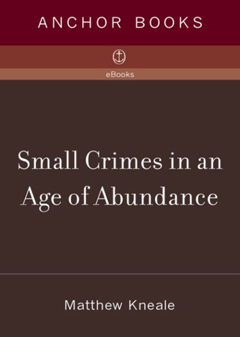 Cover image for book Small Crimes in an Age of Abundance