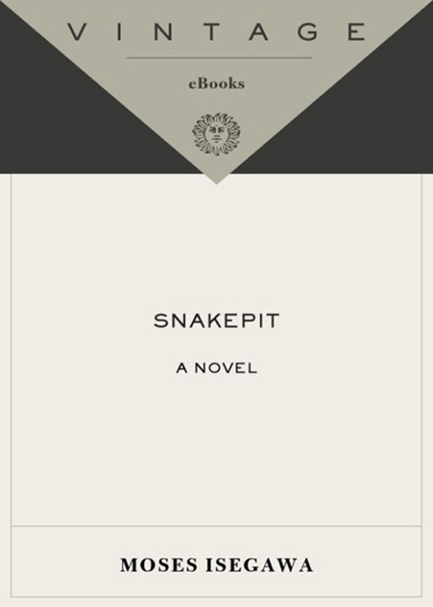 Cover image for book Snakepit