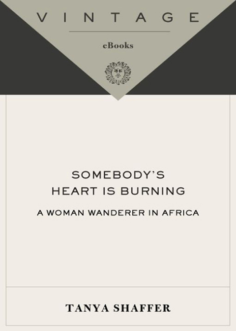Cover image for book Somebody's Heart Is Burning