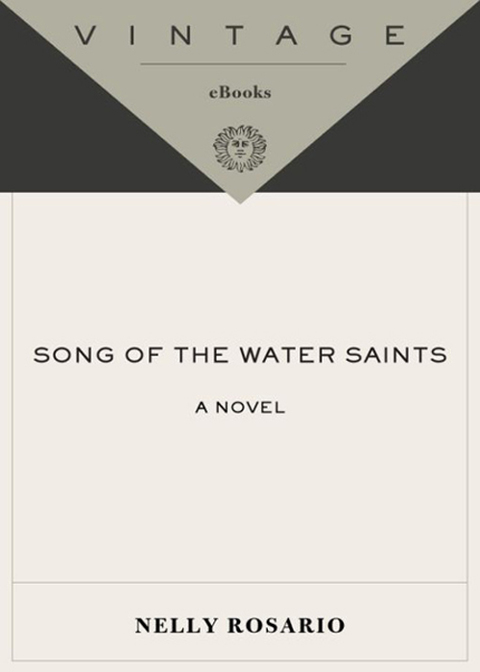 Cover image for book Song of the Water Saints