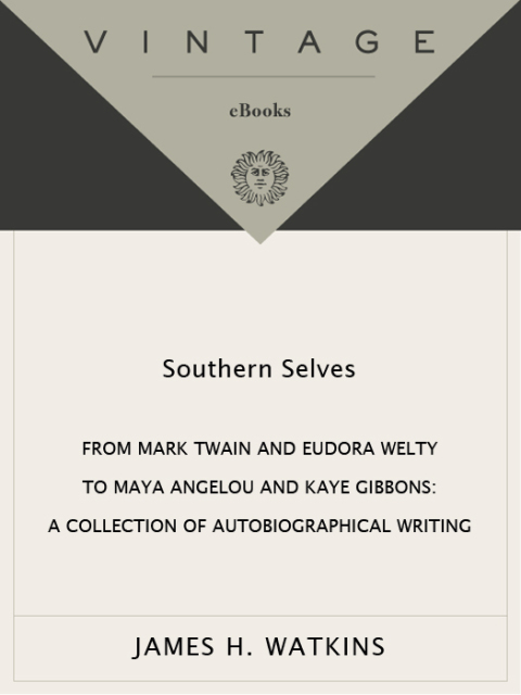 Cover image for book Southern Selves